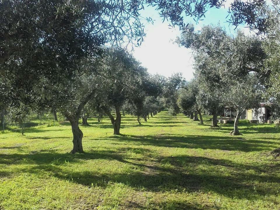 Agriturismo Sa Ruda Càbras Buitenkant foto