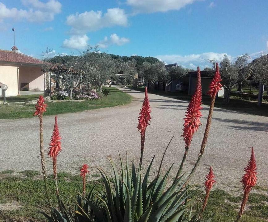 Agriturismo Sa Ruda Càbras Buitenkant foto