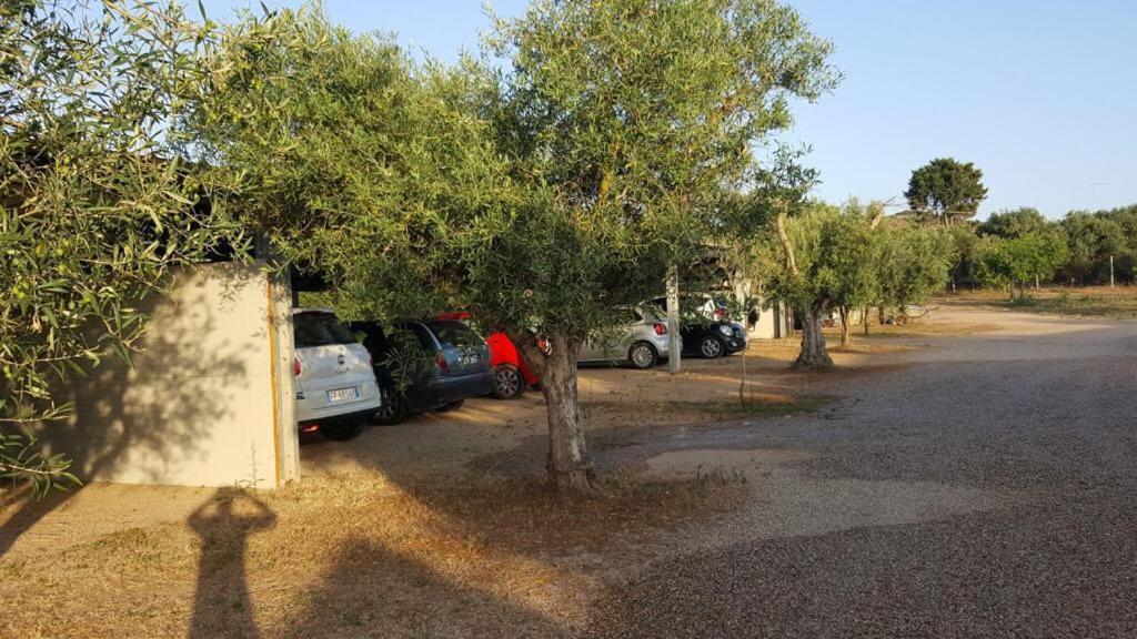 Agriturismo Sa Ruda Càbras Buitenkant foto